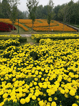 勅建长椿寺(Changchun Temple)