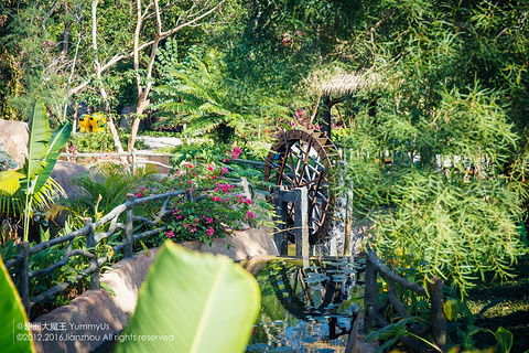 情人湾(Lover Bay)