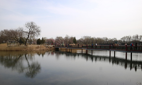 圆明园遗址公园-绮春园景区(Qichun Garden)