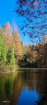 山王坪喀斯特国家生态公园(Shanwangping Karst National Ecological Park)
