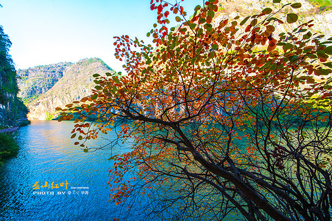 巫山小三峡(Wushan Little Three Gorges)