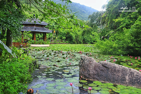 兰花谷(Lanhua Valley)