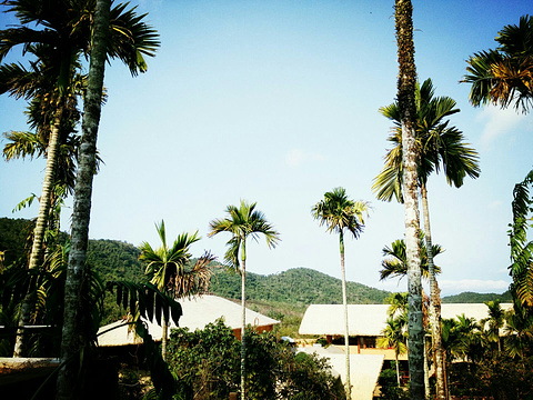 槟榔谷陈列馆(Binglanggu Exhibition Hall)