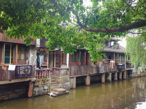 枫泾古镇(Fengjing Ancient Town)
