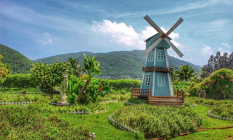 亚龙湾国际玫瑰谷(Yalong Bay Rose Valley)