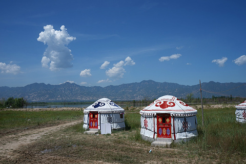 康西草原(Kangxi Grassland)