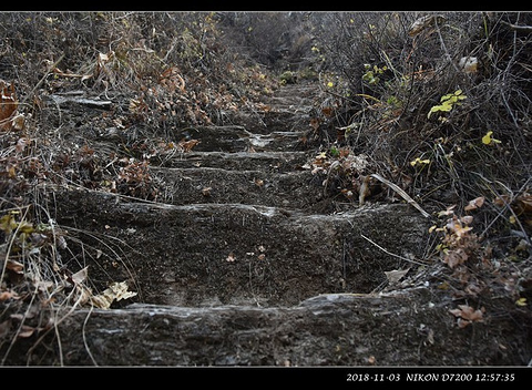 霞云岭国家森林公园(Xiayunling National Forest Park)