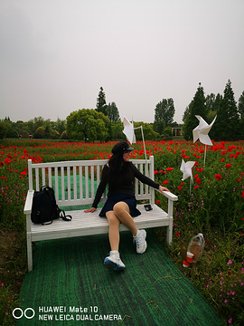 花开海上生态园(Huakai Haishang Ecological Park)
