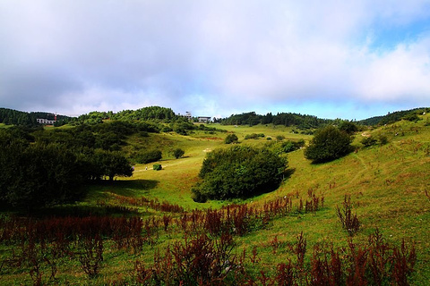 武陵山国家森林公园(Wuling Mountain National Forest Park)