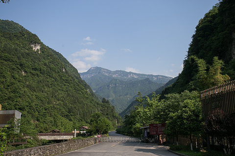 金佛山(Jinfo Mountain)