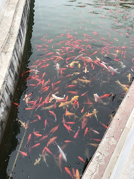 天开寺(Tiankai Temple)