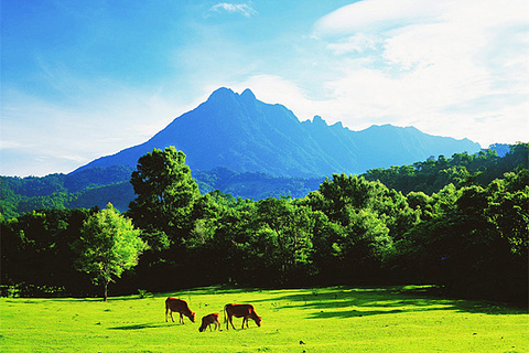 五指山(Wuzhishan)