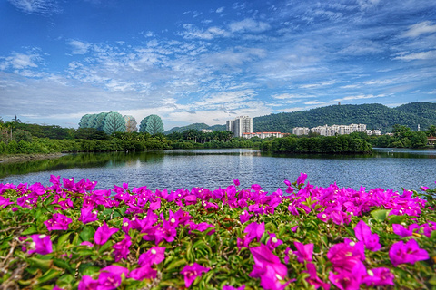 白鹭公园(Egret Park)