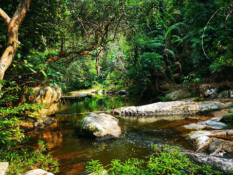 珍奇植物园(Rare Botanical Garden)