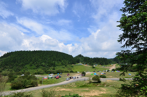 仙女山国家森林公园(Fairy Mountain National Forest Park)