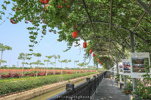 水稻国家公园(Rice Park)