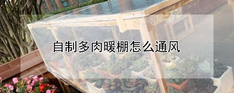 自制多肉暖棚怎么通风