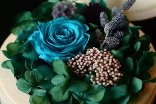 永生花图片，鲜花易谢 恒爱难传