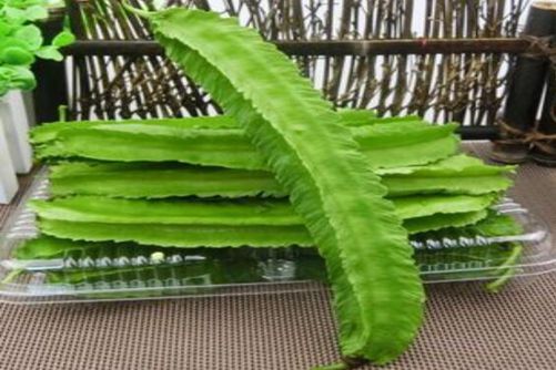 棱豆有什么功效与作用，多吃棱豆有滋养皮肤，强壮骨骼的作用