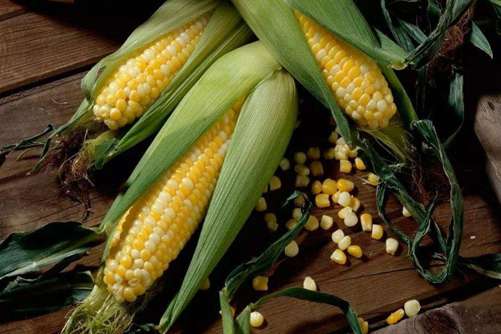 吃玉米会变胖吗？玉米怎样吃减肥最好