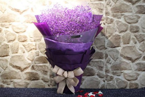 满天星花语,满天星适合送什么人