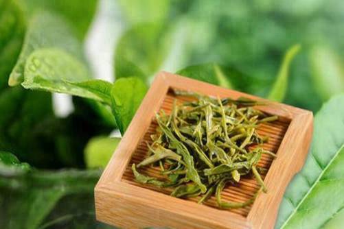 婺源毛尖图片，商人重利轻别离 前月浮梁买茶去