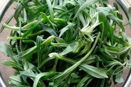 面条菜的做法大全，这样做面条菜味道更鲜美