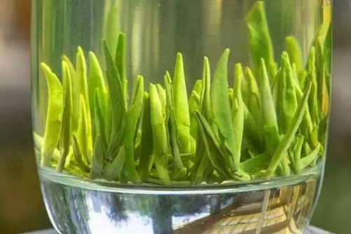 碧螺春的功效与作用，碧螺春除了茶香口感甘厚还有5大功效