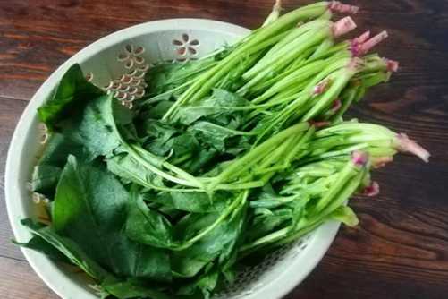 凉拌菠菜做法，教你凉拌菠菜最简单的做法，味道还杠杠滴