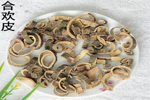 合欢皮的功效，合欢皮泡水能去除火气非常适合夏季饮用