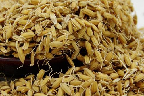 谷芽的功效与作用，谷芽可以生津，开胃健脾