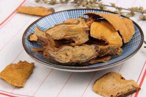 虎杖的功效与作用，虎杖能治病还是美白高手