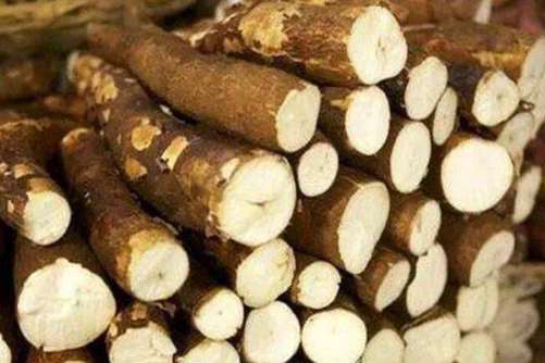 木薯有毒吗？有毒，食用需得其法