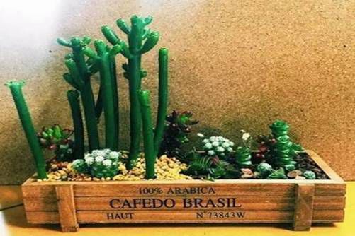 光棍树有毒吗 光棍树误食会中毒，还能致癌