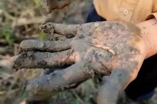 禾虫是什么？禾虫的营养价值高，煎炒蒸煮都美味