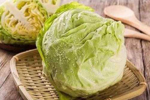 圆白菜的功效与作用，吃圆白菜有这么多好处