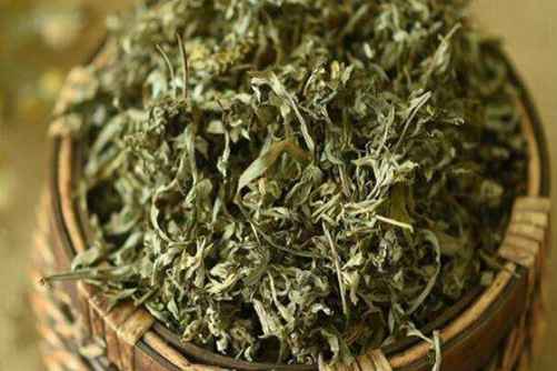 艾叶熏房间有什么好处，艾草益处多但也有禁忌