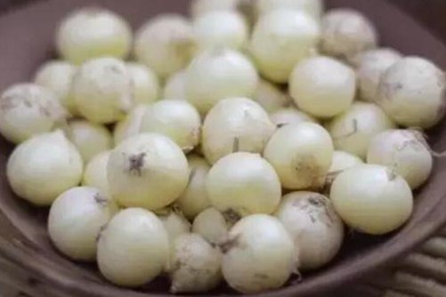 小蒜的功效和作用，小蒜可以怎么吃