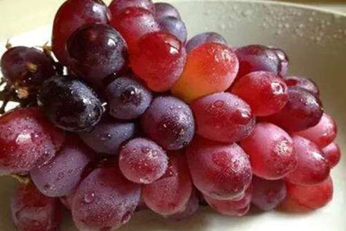 提子皮可以吃吗？吃提子不吐皮可以吗