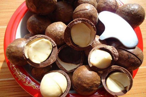 夏威夷果的功效与作用, 常吃夏威夷果的好处和禁忌