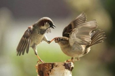 人生在世苦亦乐！怀念那个被“三农”承包了的童年！