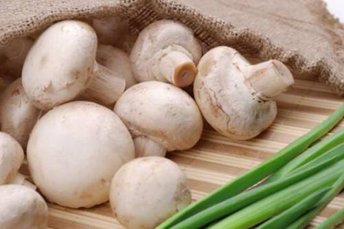 洋菇的做法，洋菇这样做 美味天天见