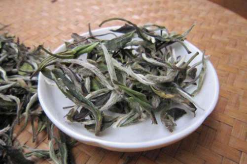 白茶的作用与功效介绍，喜欢喝白茶的看过来