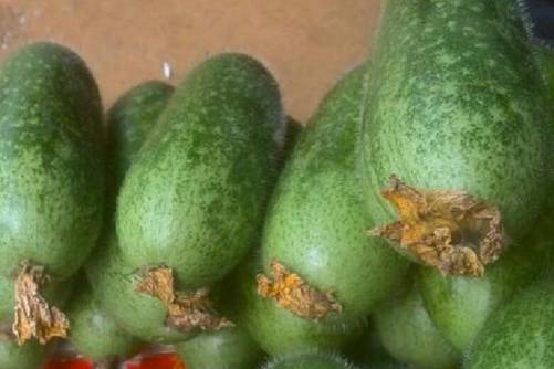 节瓜的功效和作用，吃节瓜居然有这些好处