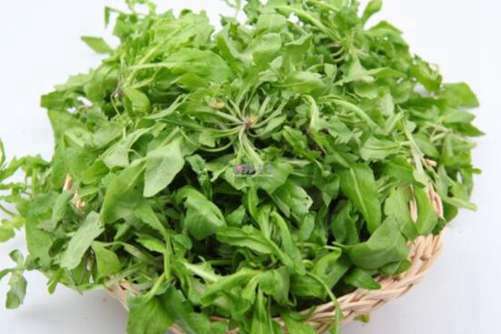 地菜做法，地菜你今天吃了吗