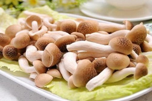 蟹味菇的营养价值，食用蟹味菇的注意事项