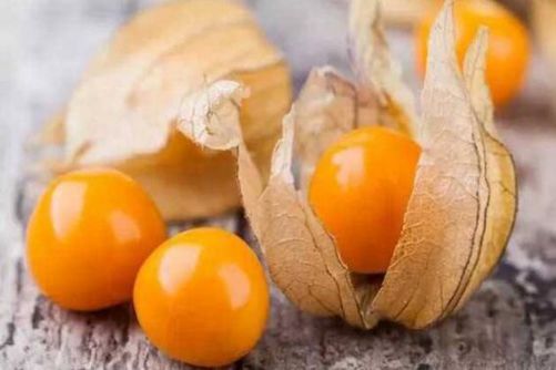 姑娘果的食用禁忌，姑娘果好吃，但这些人吃的时候一定要注意