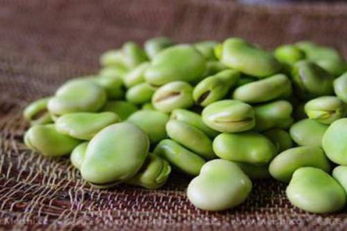 蚕豆病是什么病？越来越多男宝患上蚕豆病，不懂父母必看