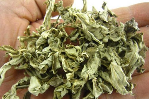 艾叶泡澡有什么好处？正确的使用艾叶泡澡可治病、防病及保健