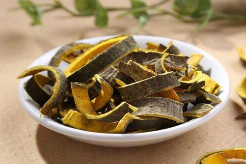 黄柏的功效与作用，除了泻火和抗病毒还能治脱发